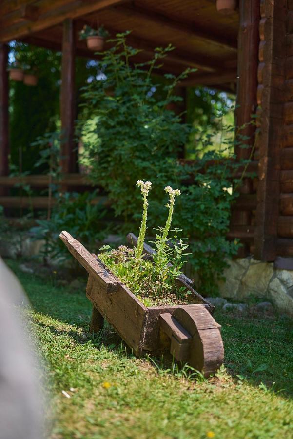 Country House Brijest Kolasin Ngoại thất bức ảnh
