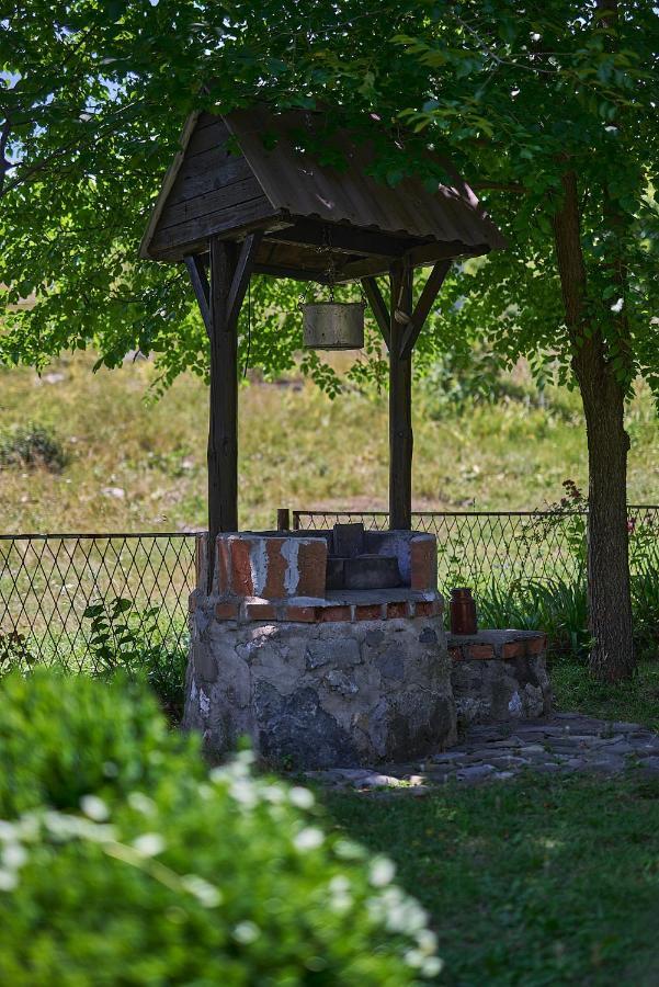 Country House Brijest Kolasin Ngoại thất bức ảnh