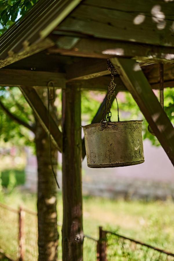 Country House Brijest Kolasin Ngoại thất bức ảnh